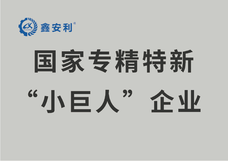 國(guó)家專精特新“小巨人”企業(yè)